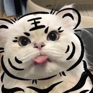 琪大侠